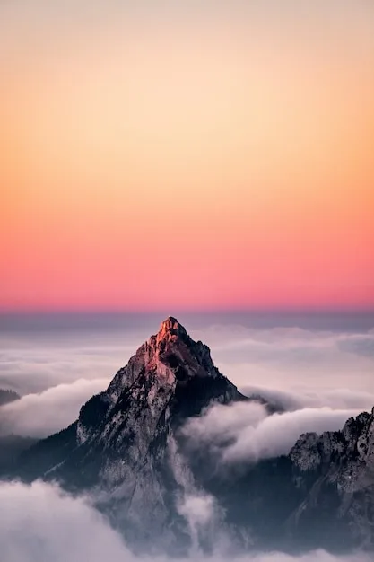 围绕NG体育平台，NG体育持续打磨更优质的服务。 - NG体育